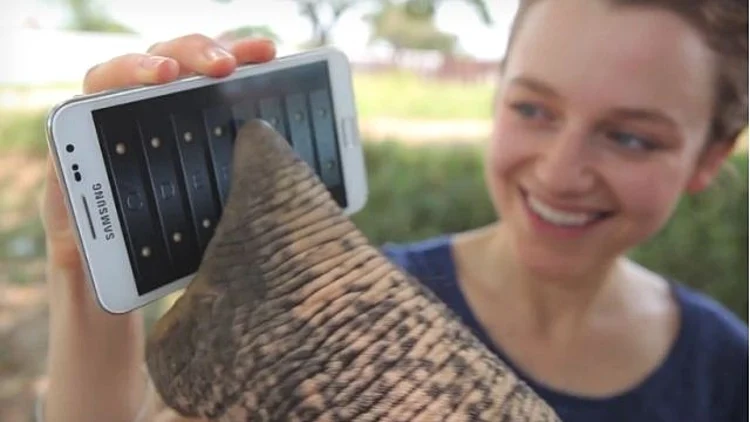 פיל מנגן בגלקסי נוט