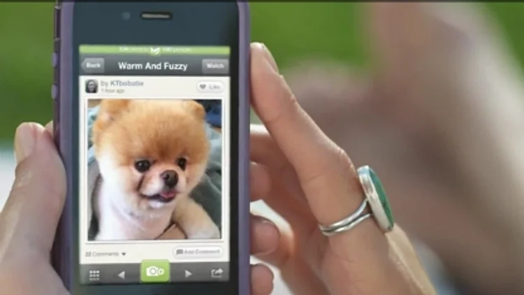 אפליקציית photovine