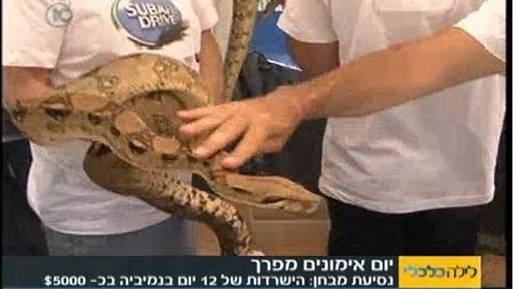 בכתבה של לילה כלכלי