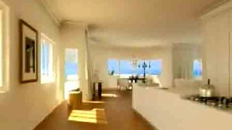 פנטהאוס בירקון