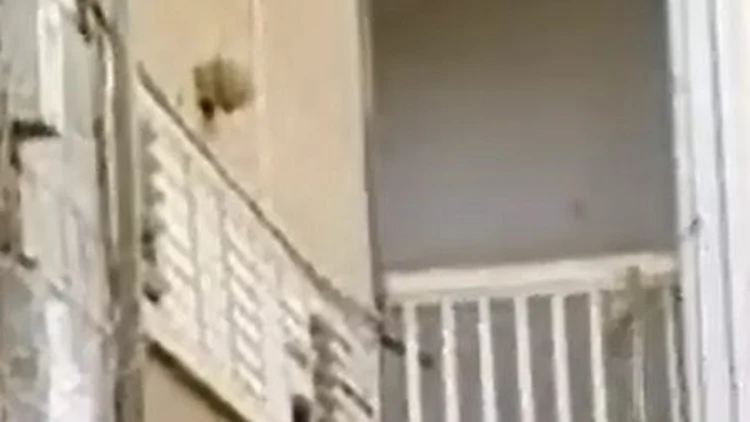 דירה בחולון שפלש אליה עבריין. מפינת הבירוקרטיה