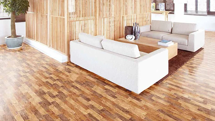 כריסטינה אגילרה