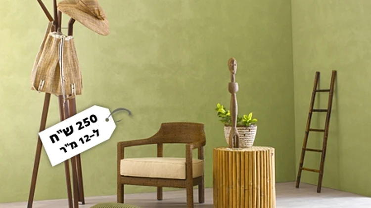 צבע טיח של נירלט