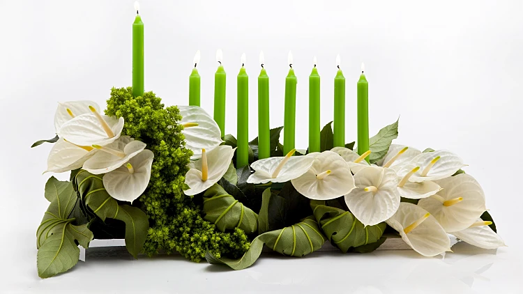 חנוכיות מיוחדות 2010