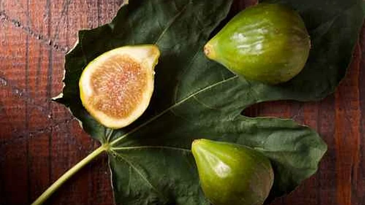 10 דברים שחייבים לדעת על תאנים