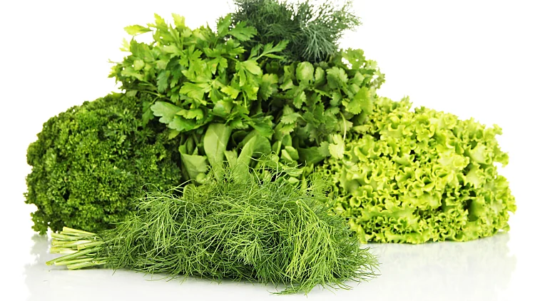 עלים ירוקים