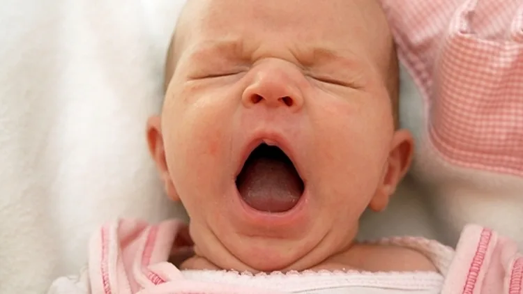 חיים בריא: 15.11.15