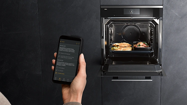 תנור דיאלוג