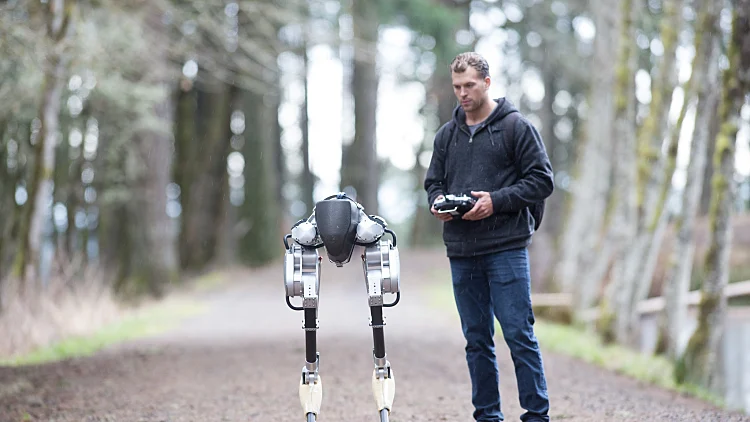 קאסי- רובט היען