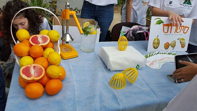 הקליפסולה של סיטרוס