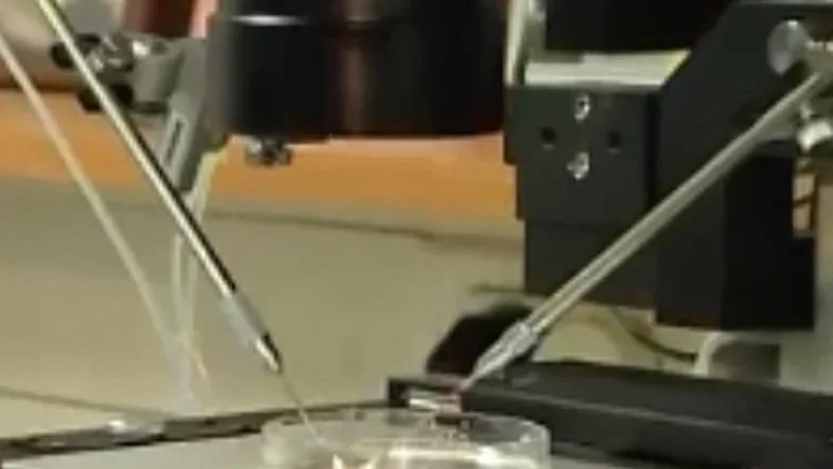 טיפולי פוריות