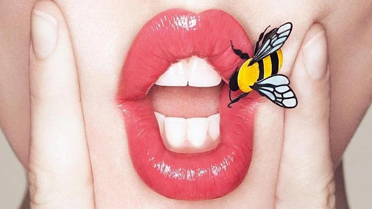 חדשות הטיפוח