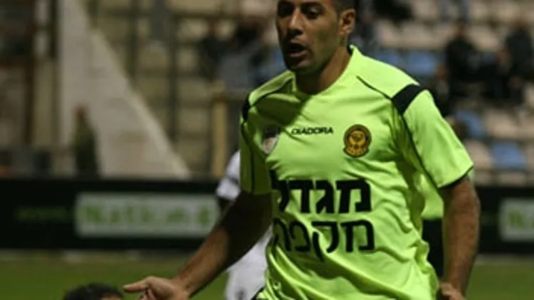 סבע חוגג שער