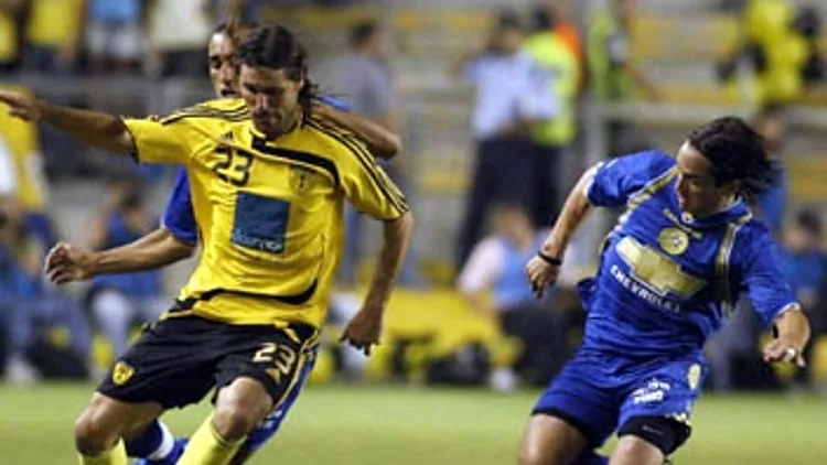 פרננדס במדי בית"ר