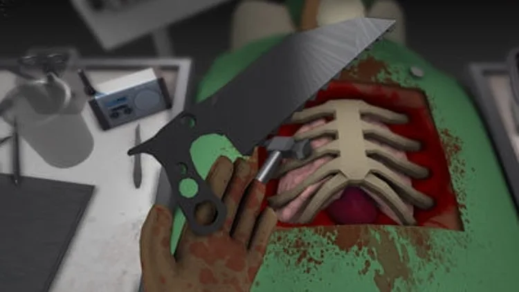 Surgeon Simulator 2013