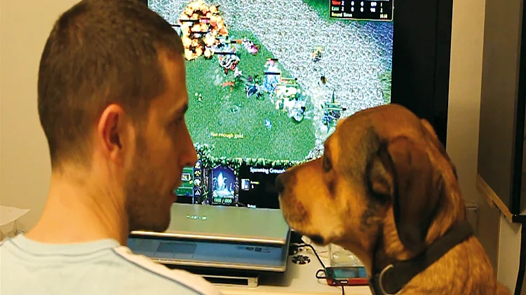 גיימרים <שם _זמני>