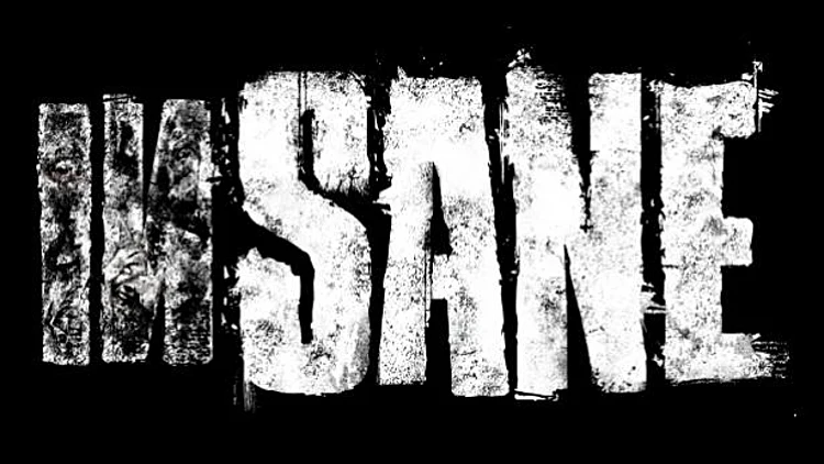 הכותרת של המשחק אינסיין