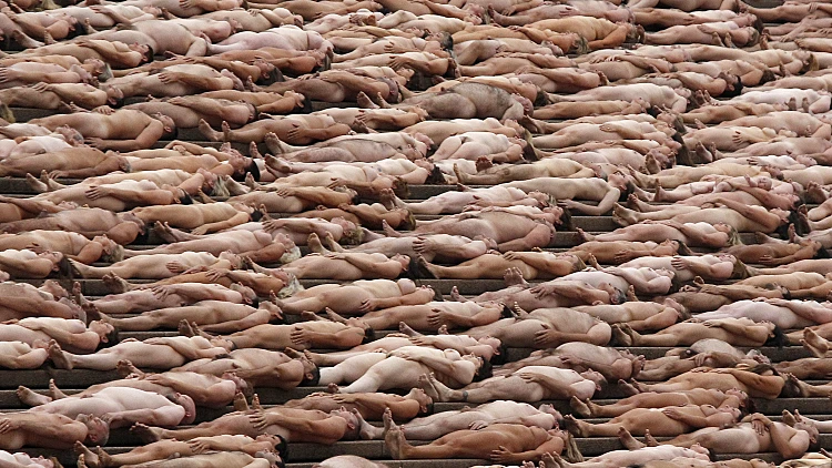 5,200 איש עירומים בצילום קבוצתי בסידני של הצלם ספנסר טוניק