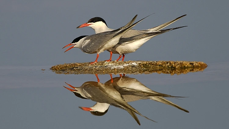 המלצה לטיול: הצפון קורא לכם