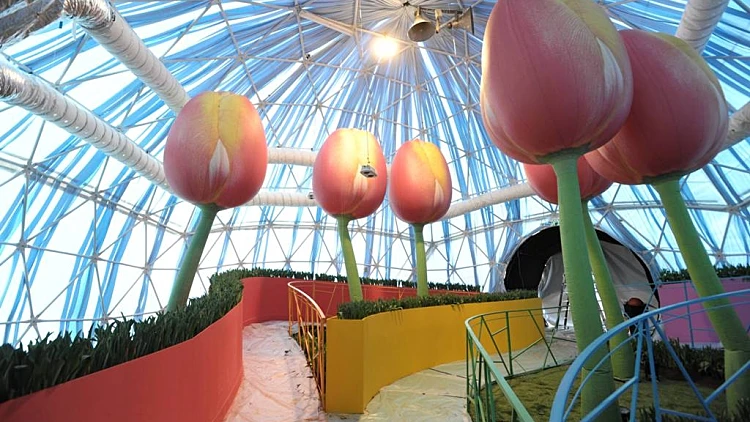 פסח 2012: תערוכת הפרחים בחיפה