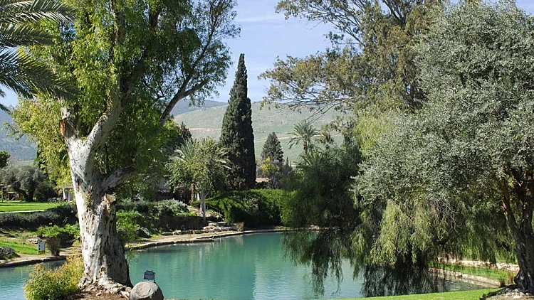 פסח 2012: מעיינות