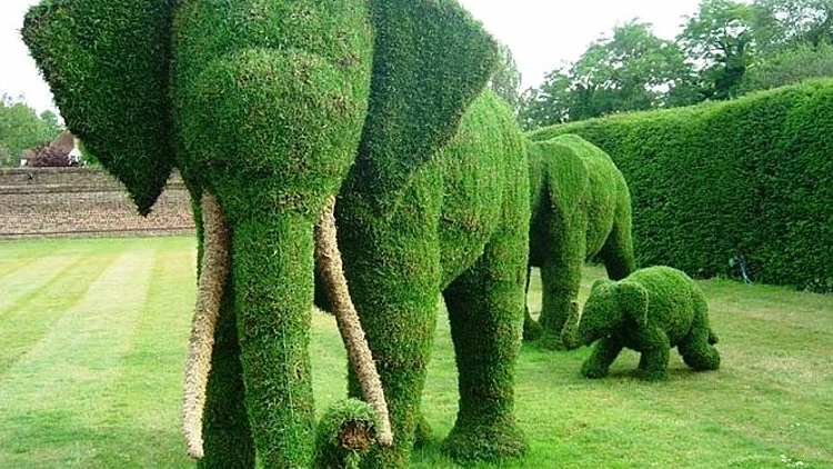 במשתלת וונדי בעין ורד בשרון