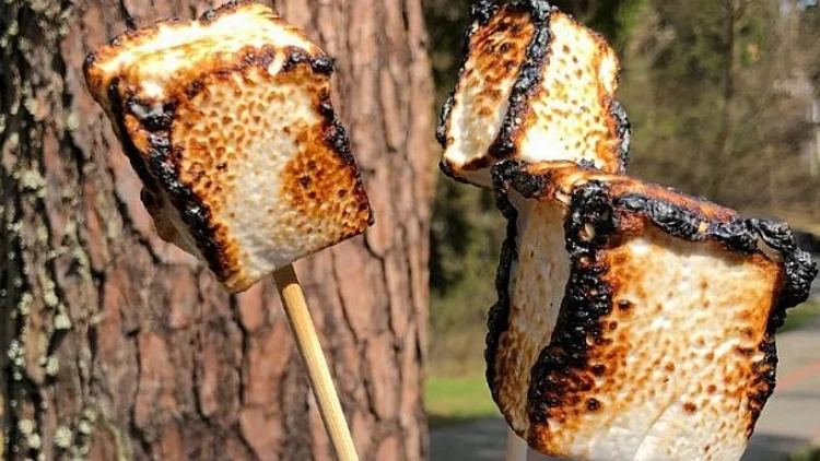 מרשמלו ,אינסטגרם