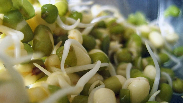 לקראת האביב מתנקים מרעלים: כך תעשו דיאטת אורז מלא ומש