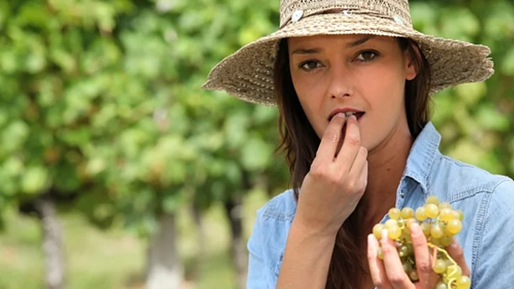 הידעתם? ענבים מאיטים את תהליך ההזדקנות