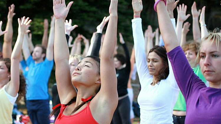 מדריך ליוגיסט המתחיל: לא רק לרוחניקים