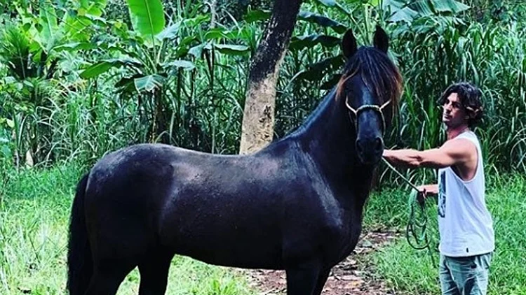 אי ירוק בים