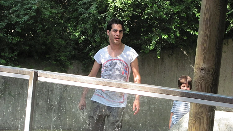 מה אביב גפן עשה בספארי?