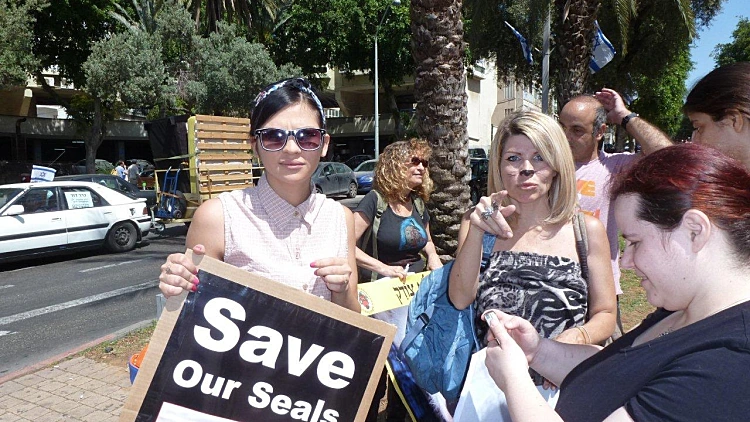 עצרת מחאה נגד טבח בכלבי ים בקנדה ונמיביה