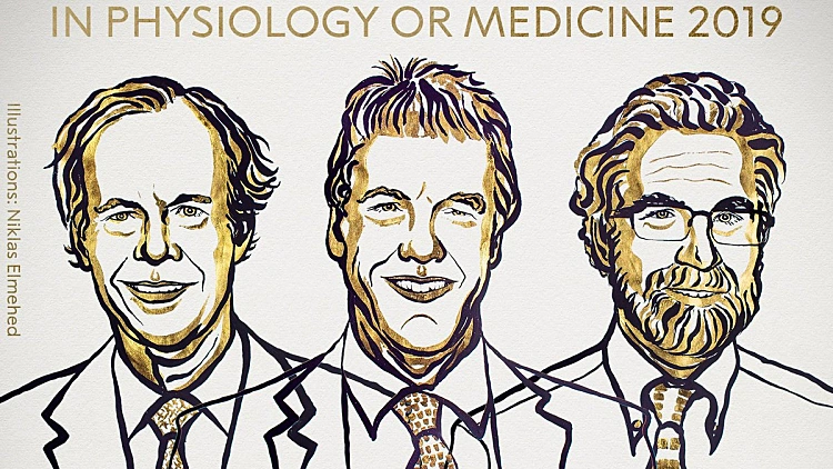 זוכי פרס הנובל