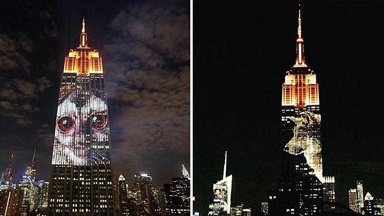 חיות מוקרנות על האמפייר סטייט בניו יורק