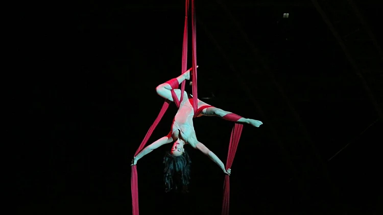 סירק דה סוליי, קידם