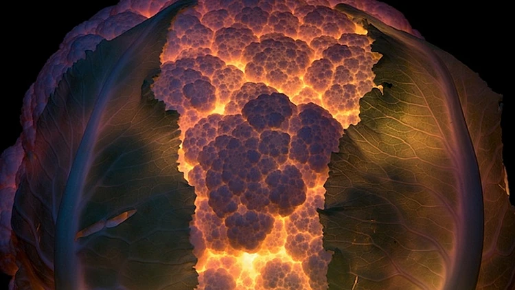 פירות מוארים מבפנים