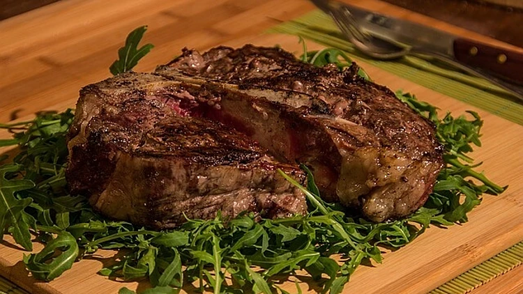 צבי הנינג'ה