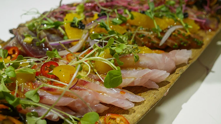 שיט עם אור גינסברג