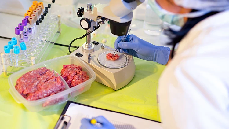 בשר במעבדה