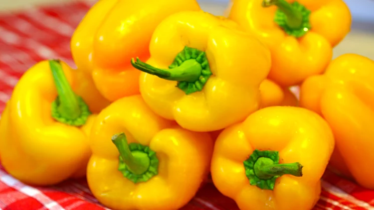 פלפלים צהובים