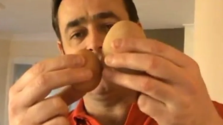 הביצה הגדולה ביותר בעולם