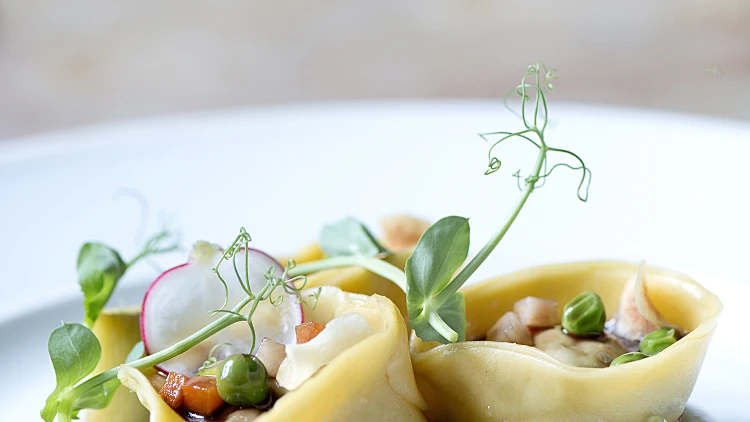 טורטליני יערות הכרמל