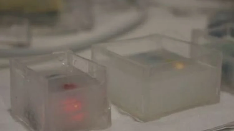 קוביות קרח שמתריעות על שתיית אלכוהול