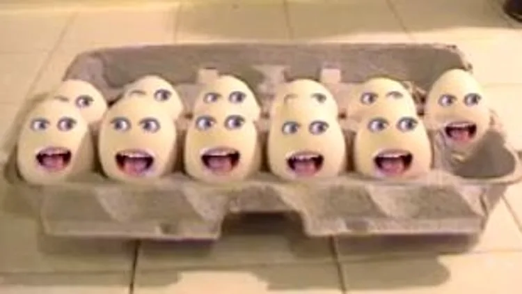 סרטוני אוכל מצחיקים