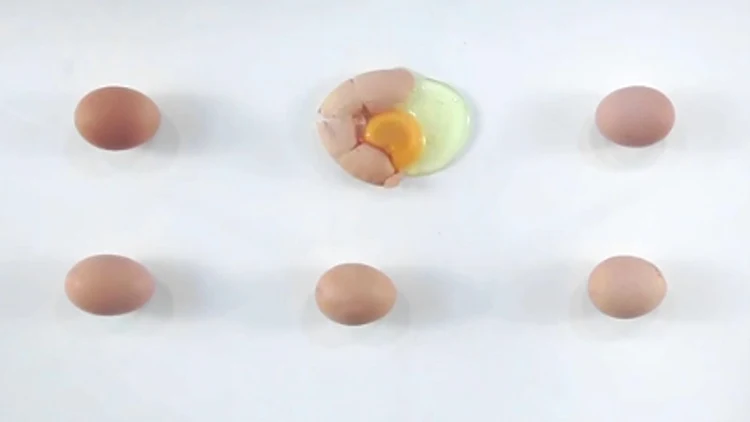 סרטון אוכל הולנדי