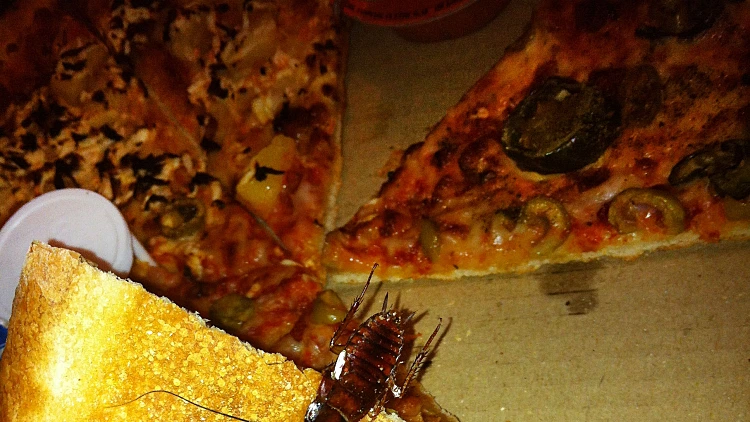 ג'וק בפיצה של דומינוס