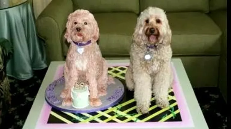 עוגה בצורת כלב