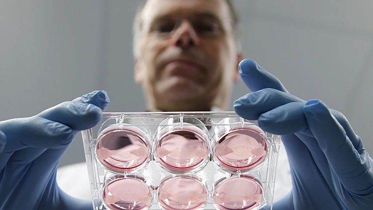 מארק פוסט מציג בשר שגודל במעבדה