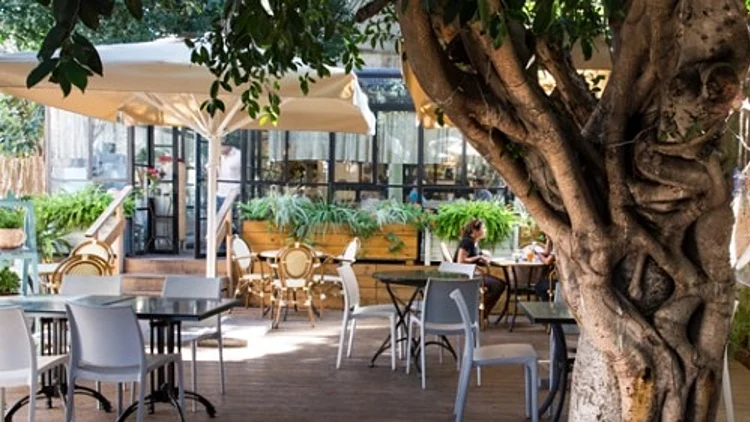 מסעדת ציונה